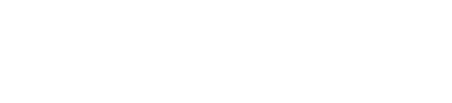 The Carolinas Team Logo